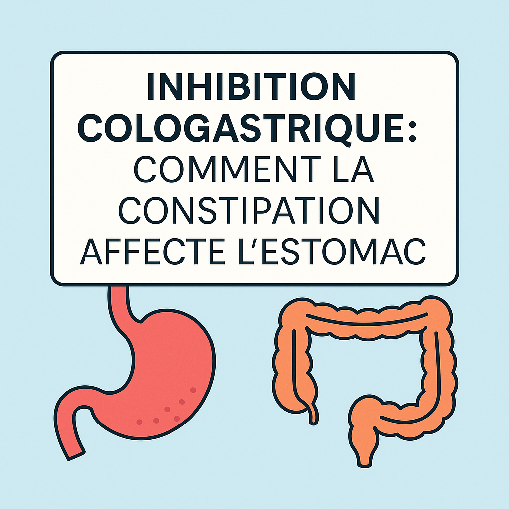 Inhibition cologastrique : comment la constipation freine l’estomac