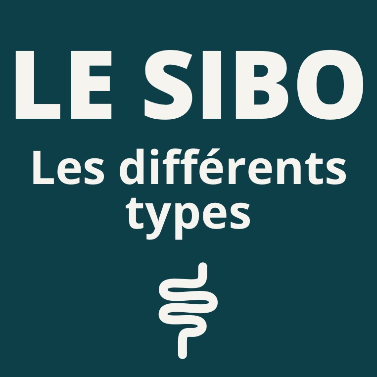 Les différents types de SIBO