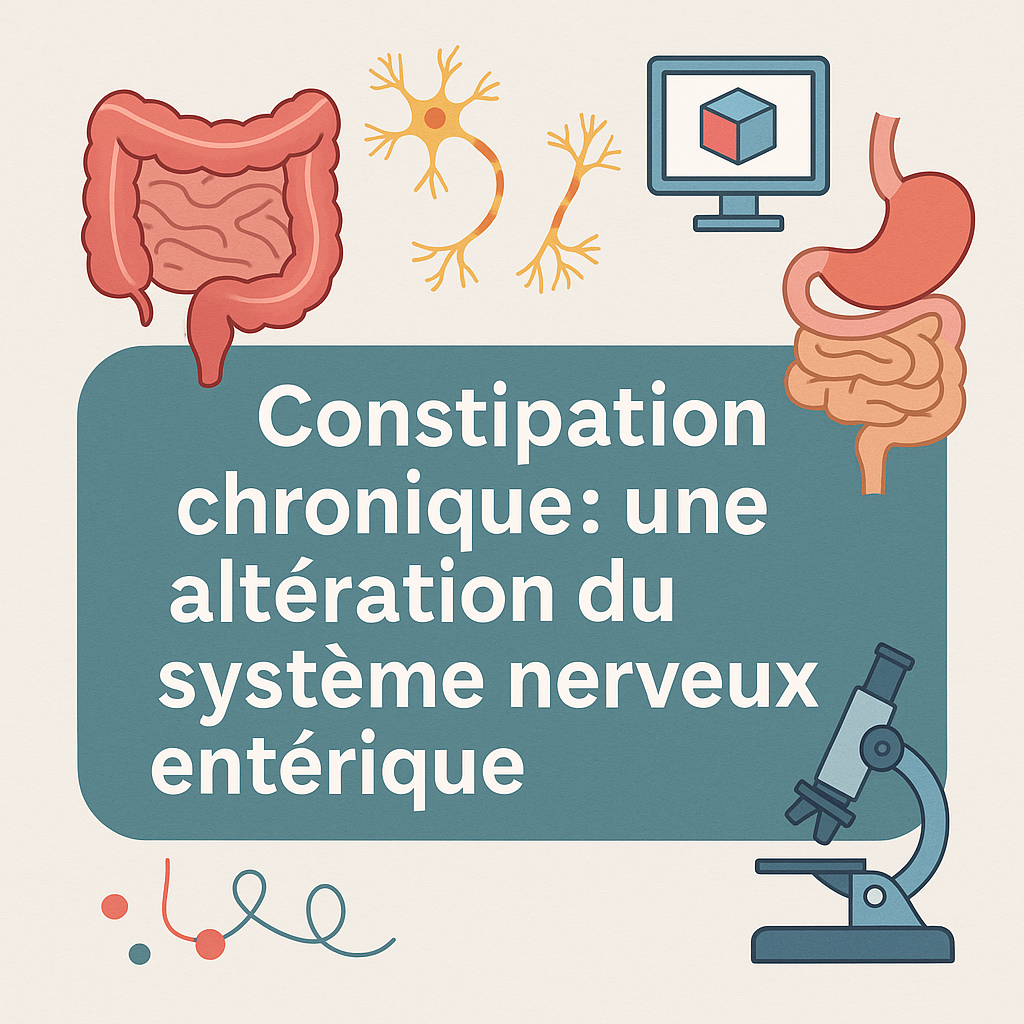 Constipation chronique : une altération du système nerveux entérique