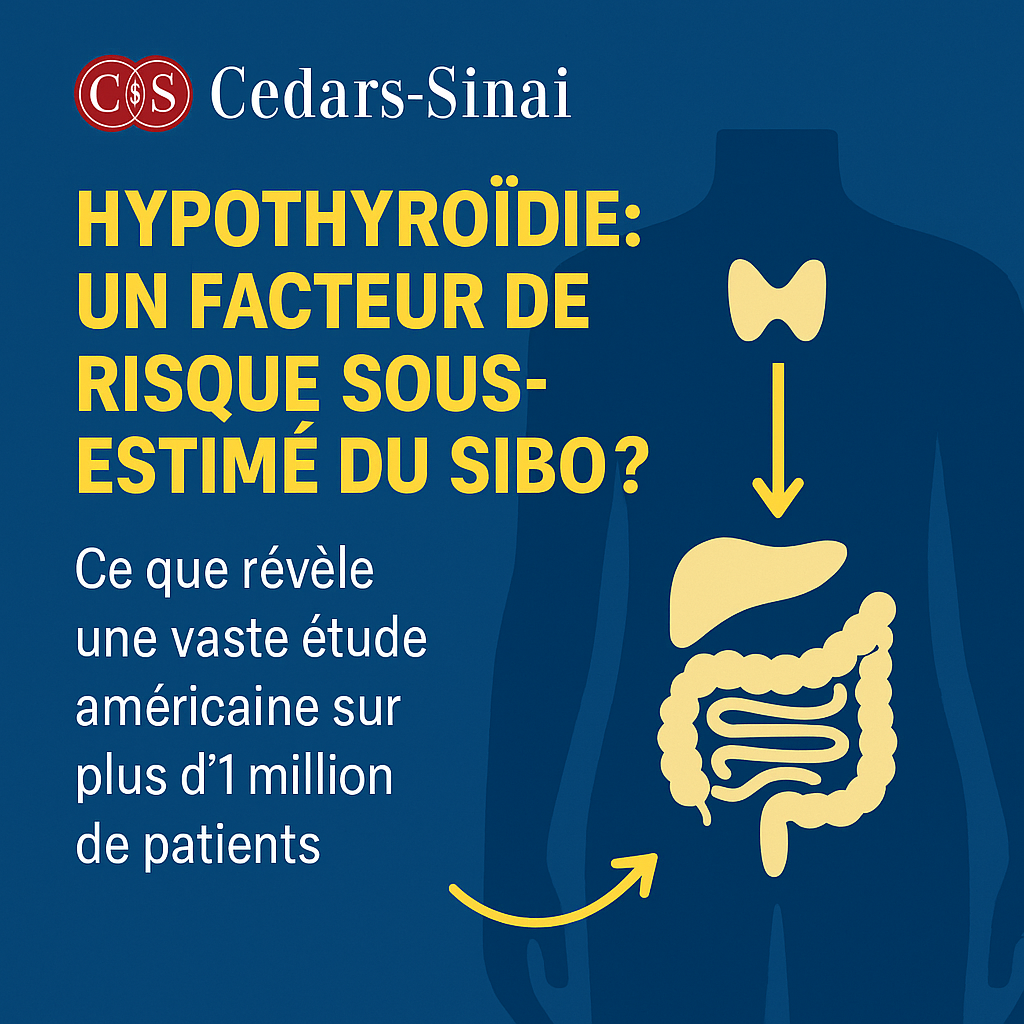 Hypothyroïdie : un facteur de risque sous-estimé du SIBO ?