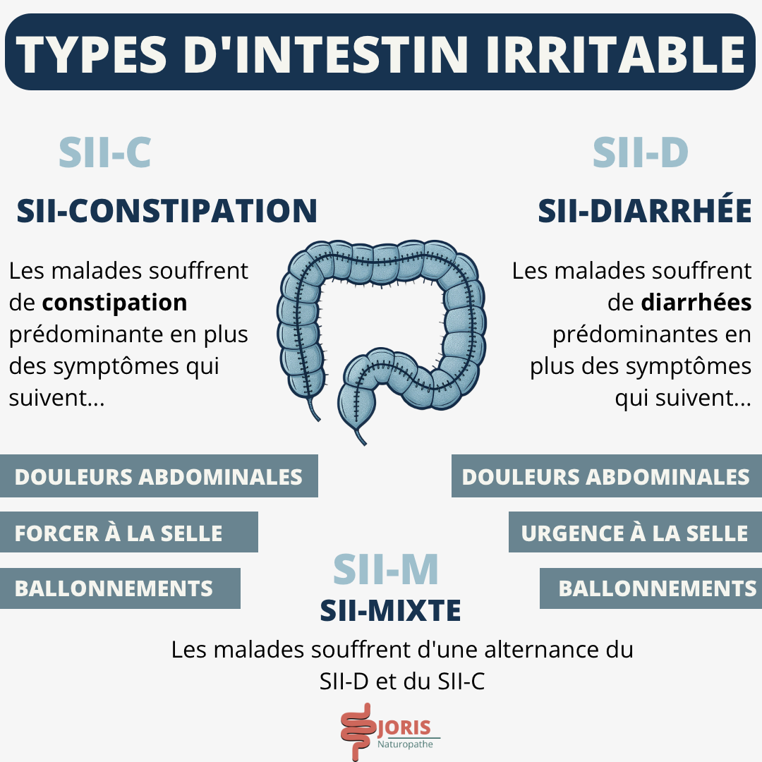 Différents types du syndrome de l’intestin irritable