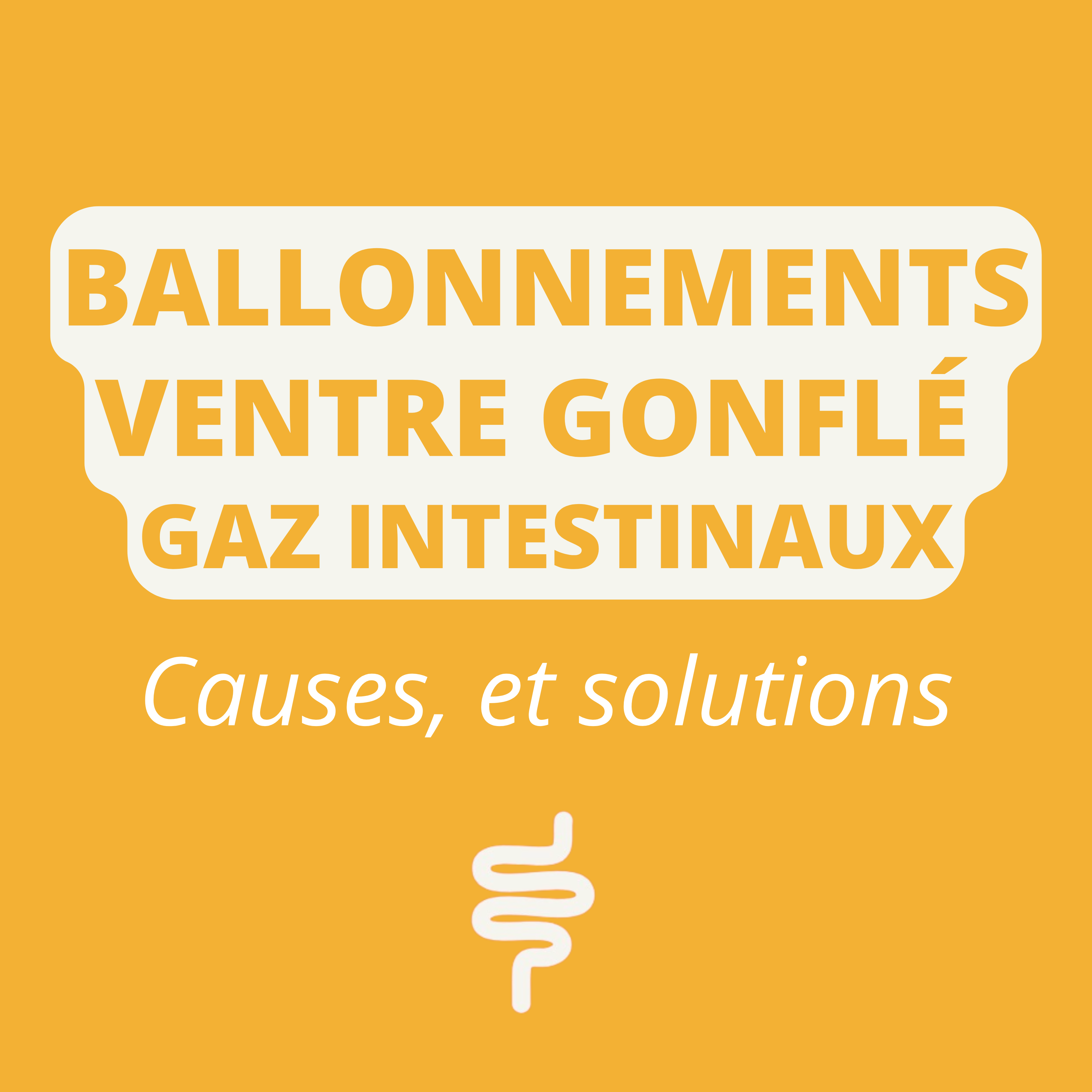 ballonnements ventre gonflé gaz intestinaux causes et solutions