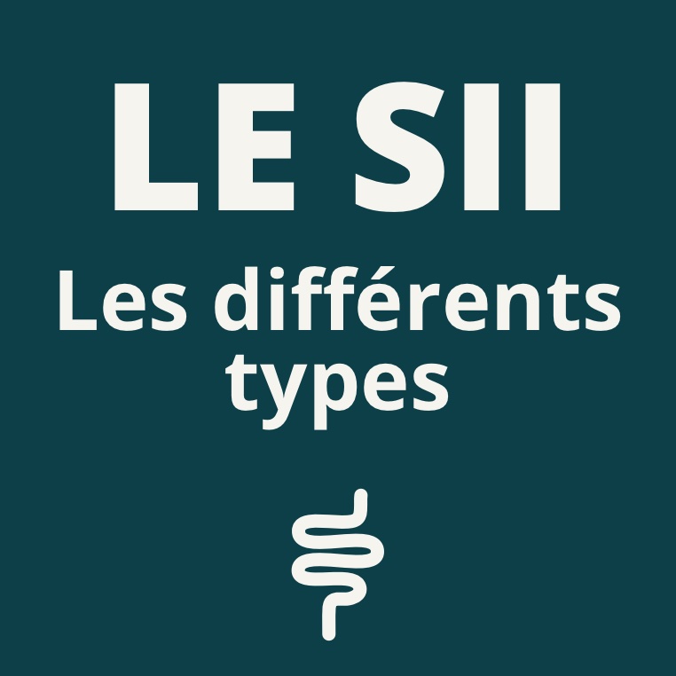 différents types de SII