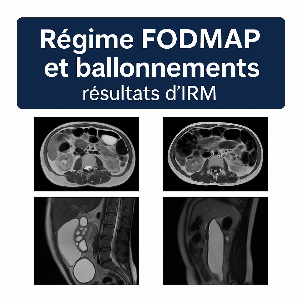 Régime FODMAP et ballonnements : comprendre les effets du fructose et des fructanes sur l’intestin